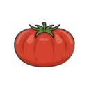 Slicer Tomato