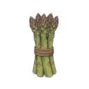 Asparagus