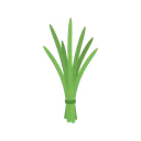 Chives