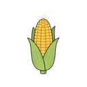 Corn