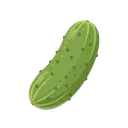 Cucumber