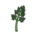 Dill