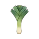 Leek