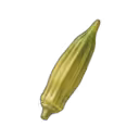Okra