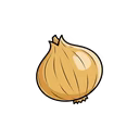 Onion