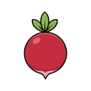 Radish