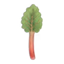 Rhubarb