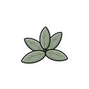 Sage