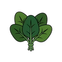 Spinach