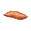 Sweet Potato
