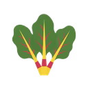 Swiss Chard