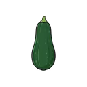 Zucchini